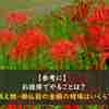 【参考に】お彼岸でやることは？お供え物・御仏前の金額の相場はいくら？？