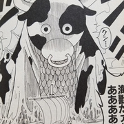 漫画ワンピースの感想を1話ずつ綴っていくブログ