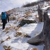 初春の笹ヶ峰遊山　寛ぐ時