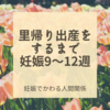 里帰り出産（番外編：妊娠・出産は甲子園や青春という説）