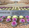 １月の彩り。