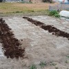 西の畑の耕運開始しました