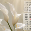 7月星模様