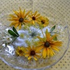 窓辺テーブルの模様替え・・・黄花のニューモイストポプリ