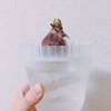 こまめメンタル回復
