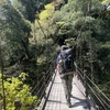 バーブライト ランニングパンツ レビュー | トレラン用に買って、登山のメインパンツになった（THE NORTH FACE）