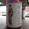 大阪／岸和田①　岸和田駅前をゆく！