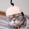 これが、自業自得って言うんだね (・・;)