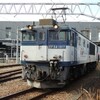 EF64 1017