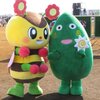 FlowerFestival2025を二日連続で見に行ってきました