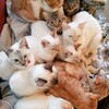 忘れてはいけない　慣れてはいけない