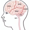 その「脳疲労」はスマホから？②　～「デジタルデトックス」しませんか？～