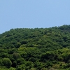 山が燃える。