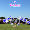 NDA朝霧大会　2日目