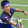 錦織選手、昨年後半の悪夢からの復活