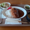 カツカレー！