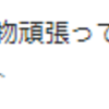 『ただの読み間違いのはずが、新たなことを知るきっかけになり、楽しいな♪』。。。