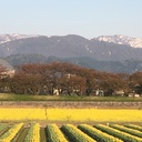 山と海と星のガーデン日記