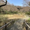 代々木公園と明治神宮