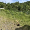 “フライをやろう！”   〜パイプもやろう！〜