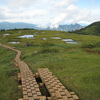 まるで別世界！天空の湿原　苗場山