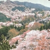 吉野山　奈良　日本一の桜の名所　３万本　中千本　観光の中心　世界遺産