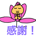 ヨガ魂
