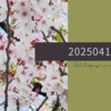 20250417