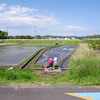 関東でタウナギが釣りたい：視察篇（5月4日は早すぎた）