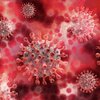 アイルランド（Ireland  🇮🇪）：　　just over 17,700 new coronavirus cases