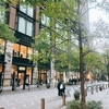 ホリデーシーズン、丸の内の街並み / Art&Architecture＃504