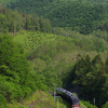 【2011/07/05】人間ドック前減量登山de客回