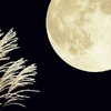 29日は牡羊座の満月＆中秋の名月を眺めよう☆彡