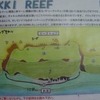 KIKKI REEF   VADHOOチャネル