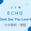 【和訳】JIN（BTS）「Don’t Say You Love Me」の歌詞を日本語に翻訳『Echo』1