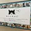 ＠１０８　ねこ写真展示イベント「ねこにすと」に行ってきました❢