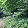 池田山公園と東京都庭園美術館 in 虹始見【番外編】