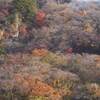 鷹ノ巣山（紅葉＆窟）