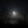 今夜の月