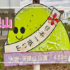 【標高4.53m】天保山は日本一低い山！USJ・海遊館から徒歩で行ける大阪の珍スポット