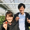 完熟いちご🍓狩り情報2月18日(月)休園日です‼️✨💫🍀