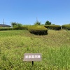 桜山窯跡群  東松山市桜山台