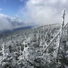 【縞枯山】2017のぼり初め