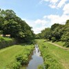 野川公園の緑が豊富な水場で涼しい夏を。