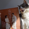 「虹と雪のバラード」