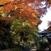 来週末は、今年最後の鎌倉教室です。