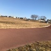 リャンも負傷で開幕絶望
