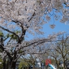 上賀茂神社は遠かった