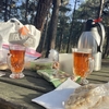 トルコ人は森の中でもチャイを飲むらしい