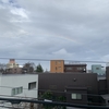 雨上がりの虹が！😳